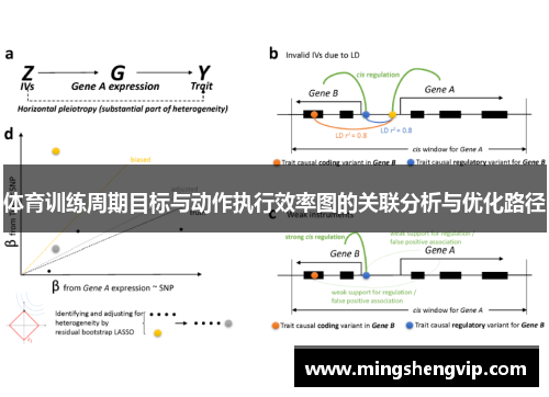 体育训练周期目标与动作执行效率图的关联分析与优化路径